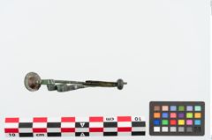 Foto von Bronzeschlangenfibel (NHMW-PRAE-024943)